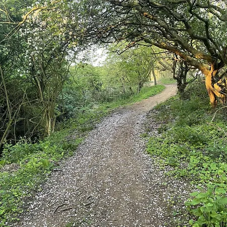 Wyke Filey